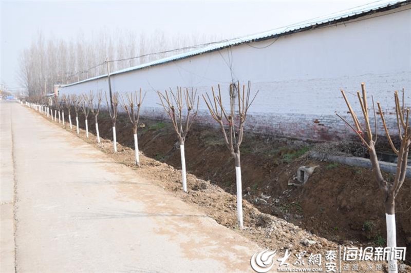 九台招聘：抓住机遇，成就你的职场未来